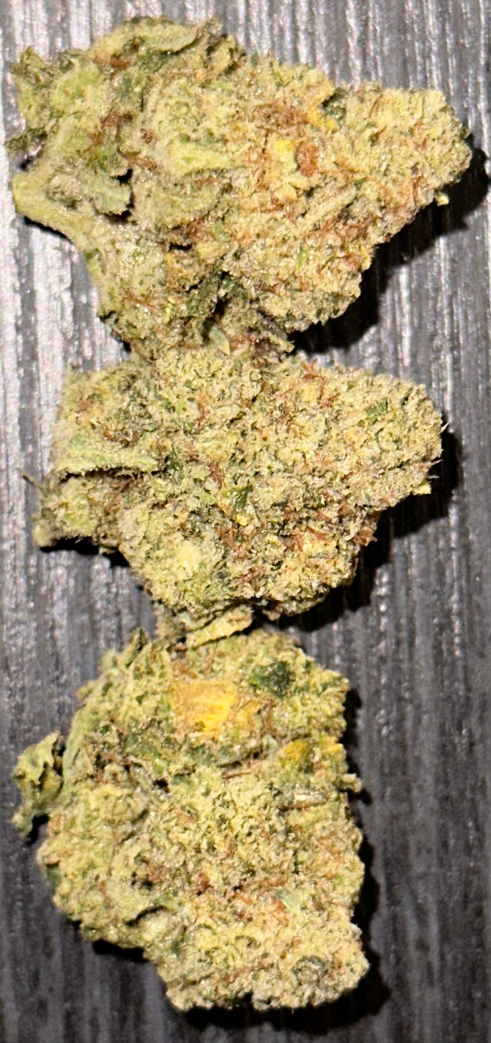 Gorilla Glue